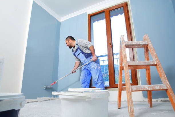 Best Attic Mold Removal  in Nooksack, WA
