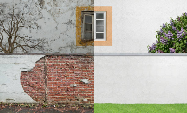 Best Residential Mold Inspection & Testing  in Nooksack, WA