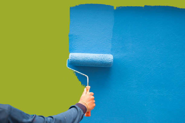 Best Forensic Mold Investigation  in Nooksack, WA